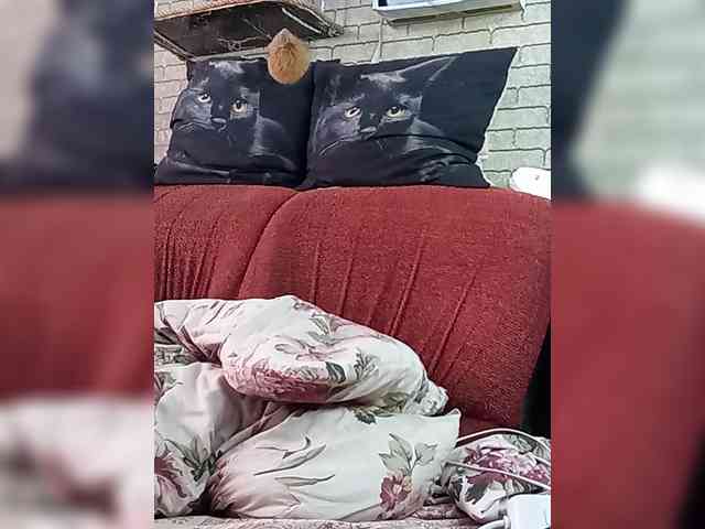 Lina-a-13 webcam