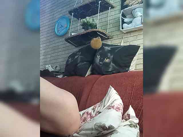 Lina-a-13 webcam