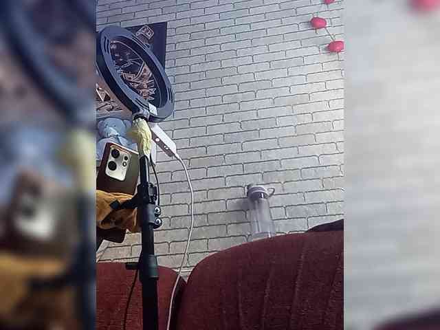 Lina-a-13 webcam