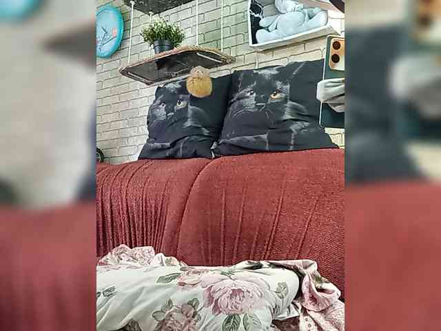 Lina-a-13 webcam