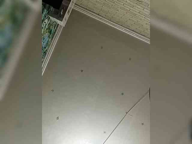 Lina-a-13 webcam