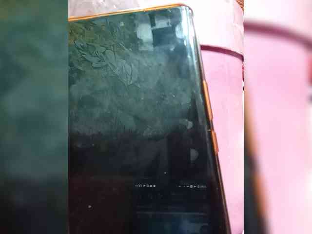 Lina-a-13 webcam