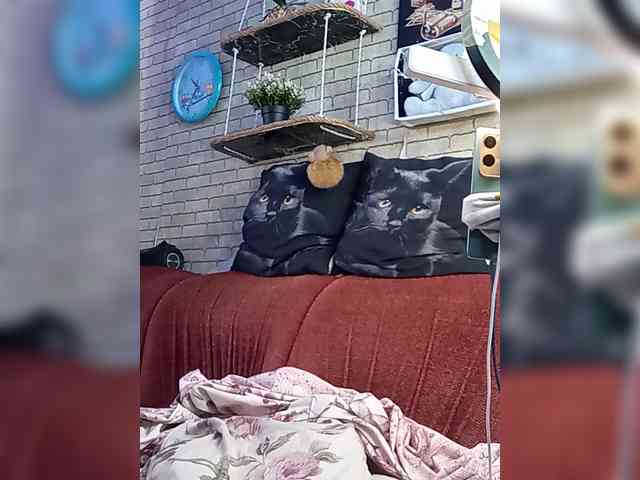 Lina-a-13 webcam
