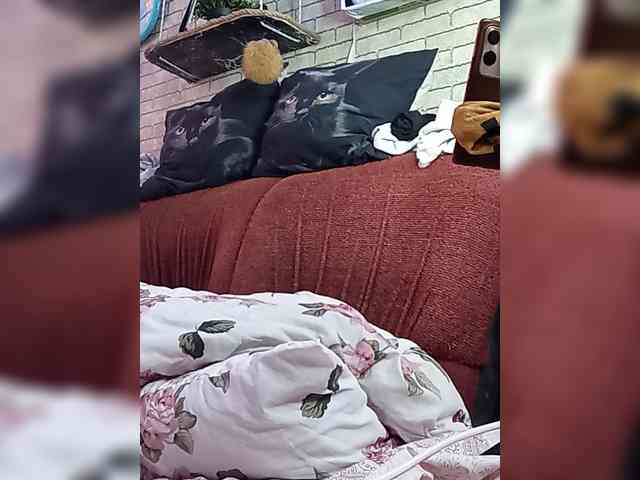 Lina-a-13 webcam
