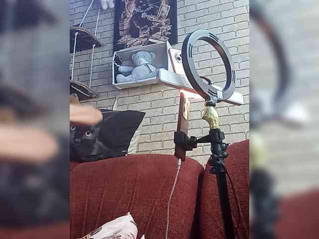 Lina-a-13 webcam