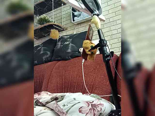 Lina-a-13 webcam