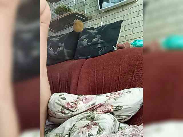 Lina-a-13 webcam