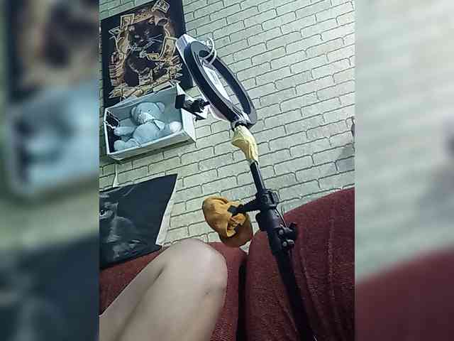 Lina-a-13 webcam