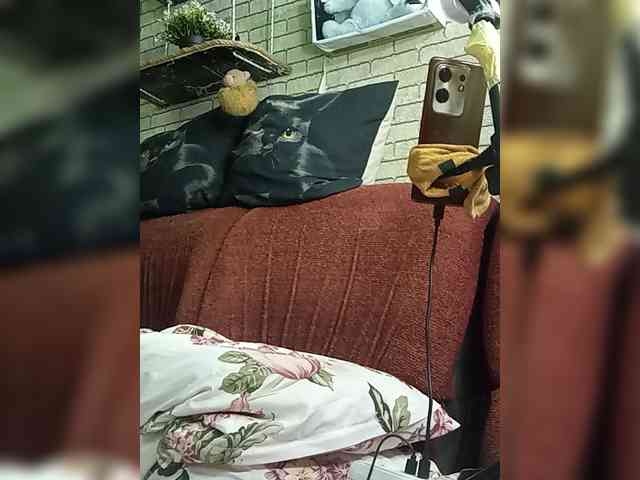 Lina-a-13 webcam