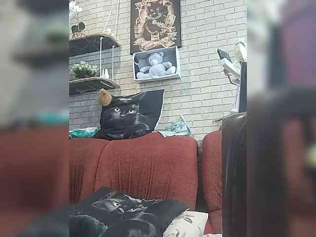 Lina-a-13 webcam