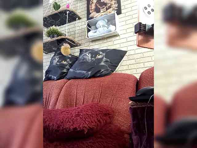 Lina-a-13 webcam