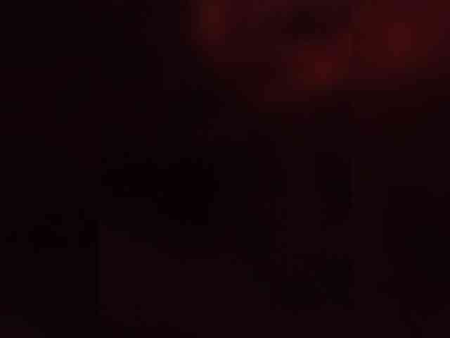 Lina-a-13 webcam