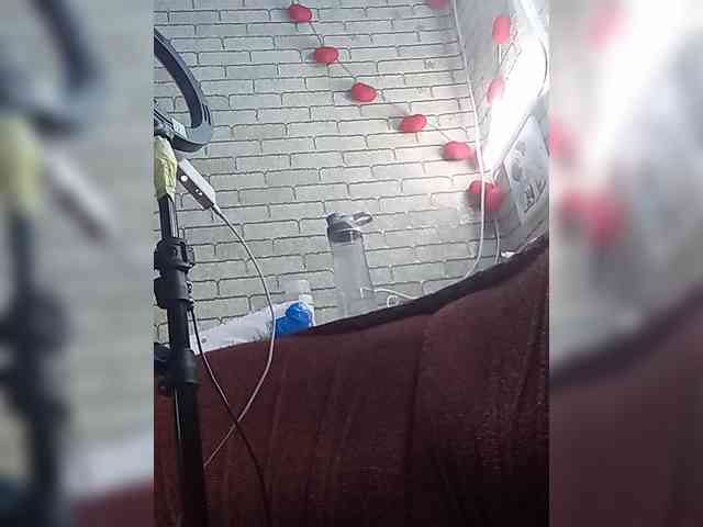 Lina-a-13 webcam