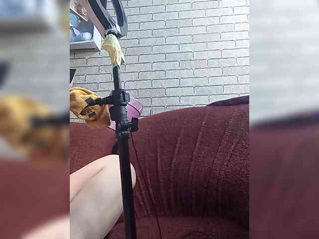 Lina-a-13 webcam