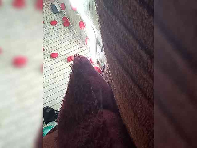 Lina-a-13 webcam