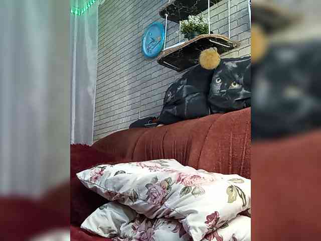 Lina-a-13 webcam