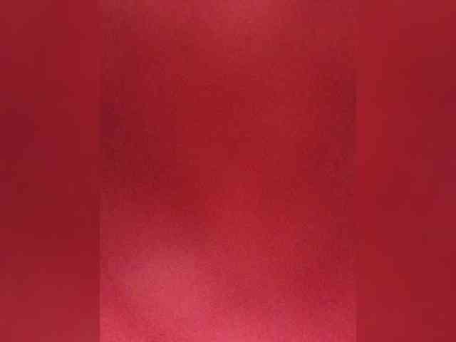 Lina-a-13 webcam