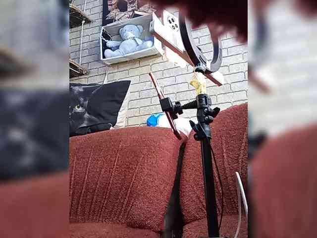 Lina-a-13 webcam