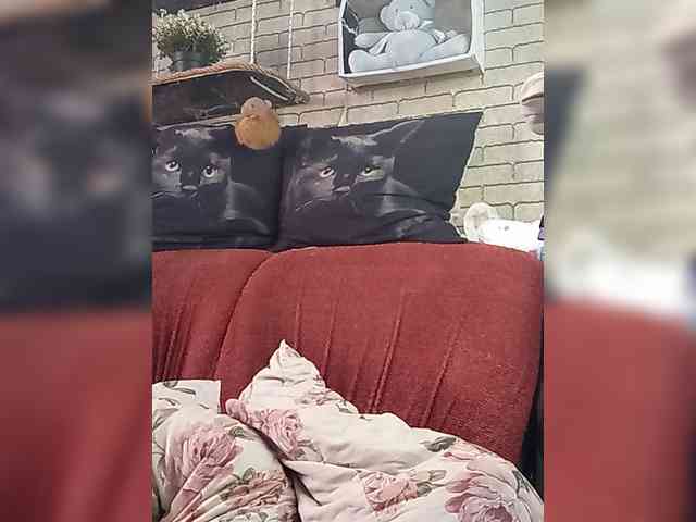 Lina-a-13 webcam