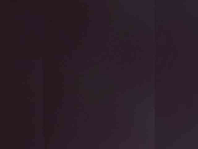 Lina-a-13 webcam