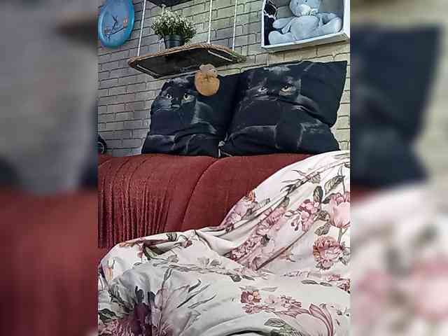 Lina-a-13 webcam
