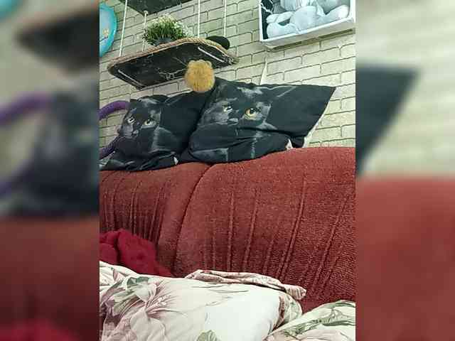 Lina-a-13 webcam