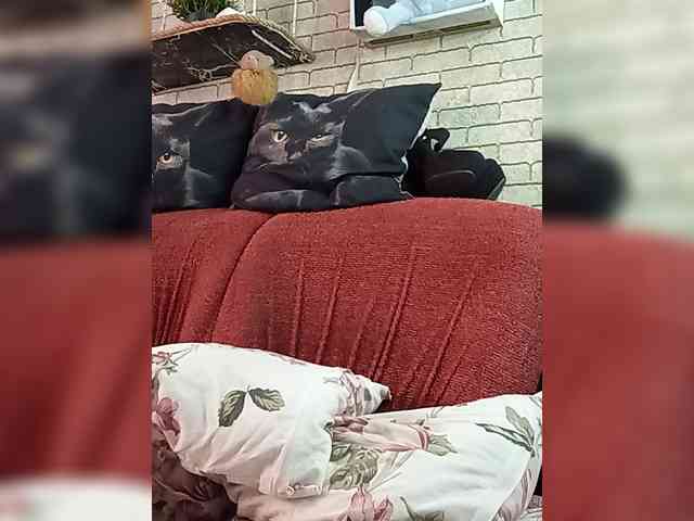 Lina-a-13 webcam