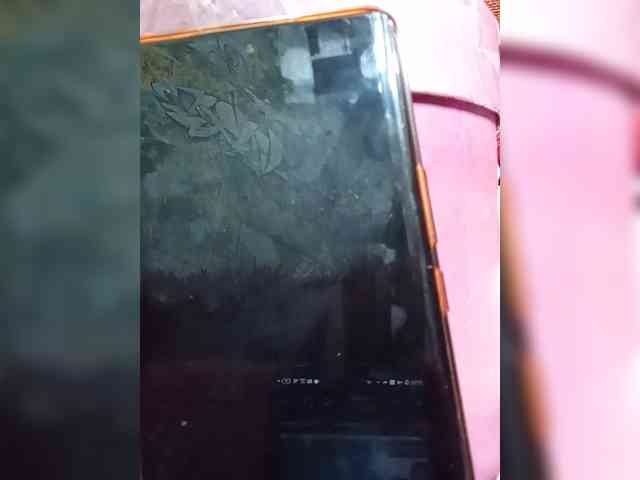 Lina-a-13 webcam