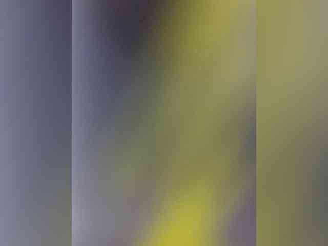 Lina-a-13 webcam