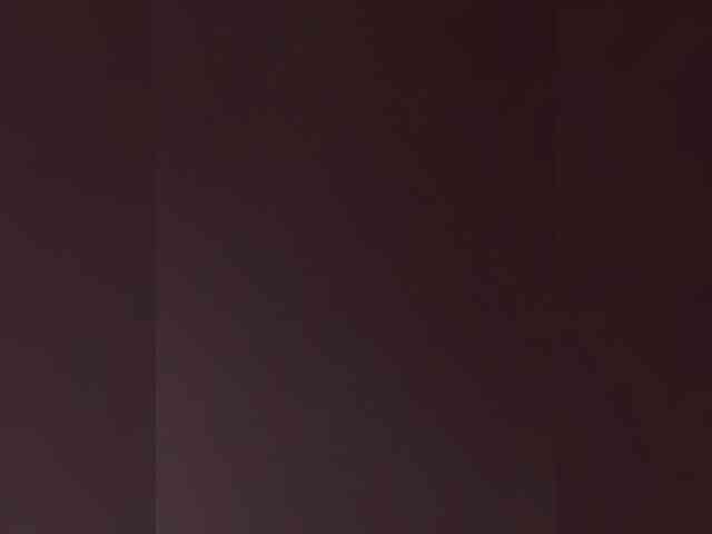 Lina-a-13 webcam