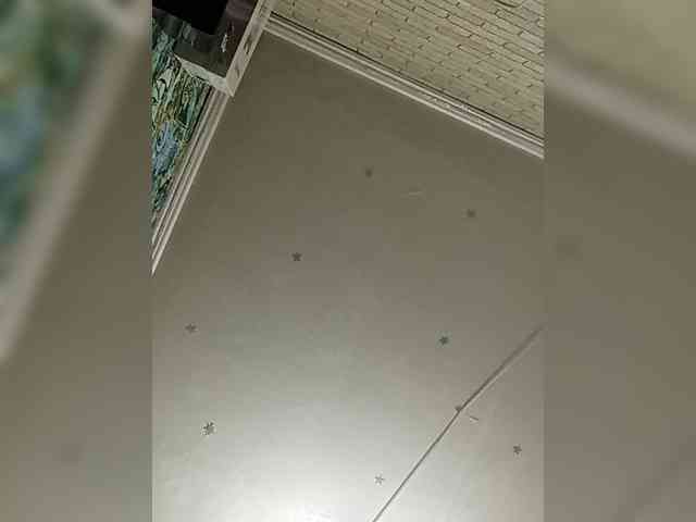 Lina-a-13 webcam