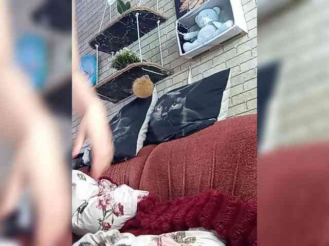 Lina-a-13 webcam