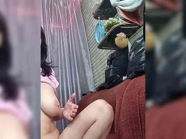 Lina-a-13 webcam