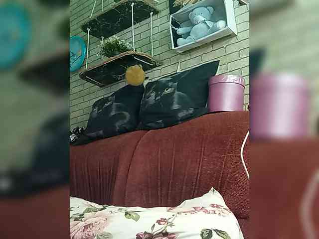 Lina-a-13 webcam