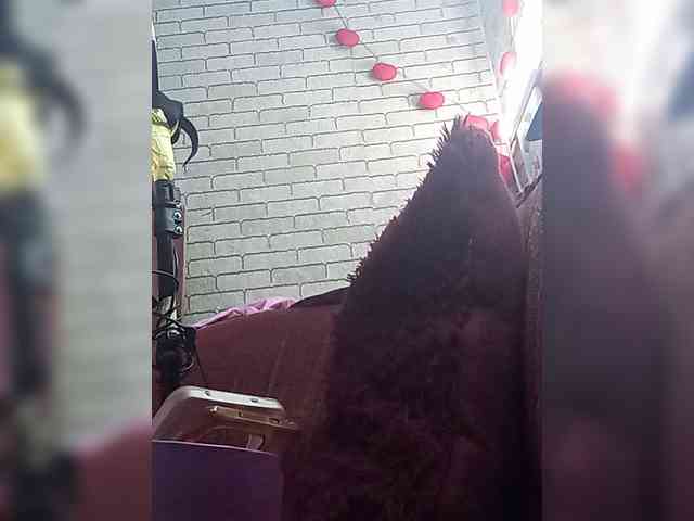 Lina-a-13 webcam