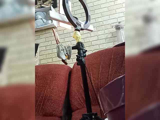 Lina-a-13 webcam