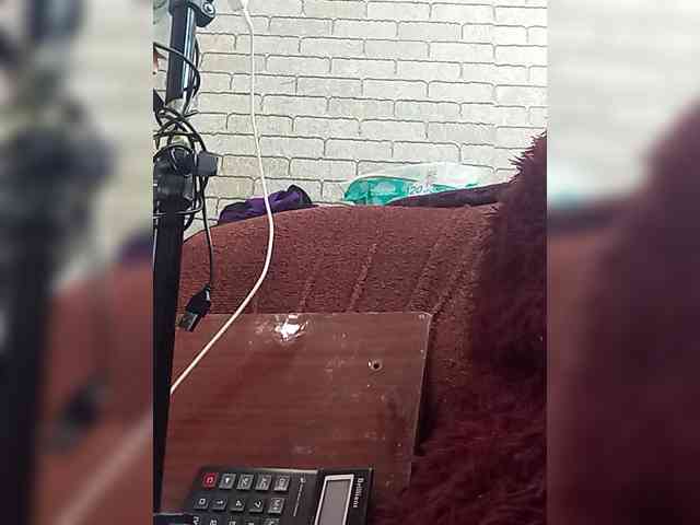 Lina-a-13 webcam