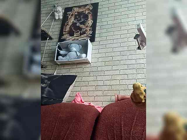 Lina-a-13 webcam