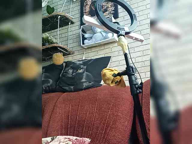 Lina-a-13 webcam