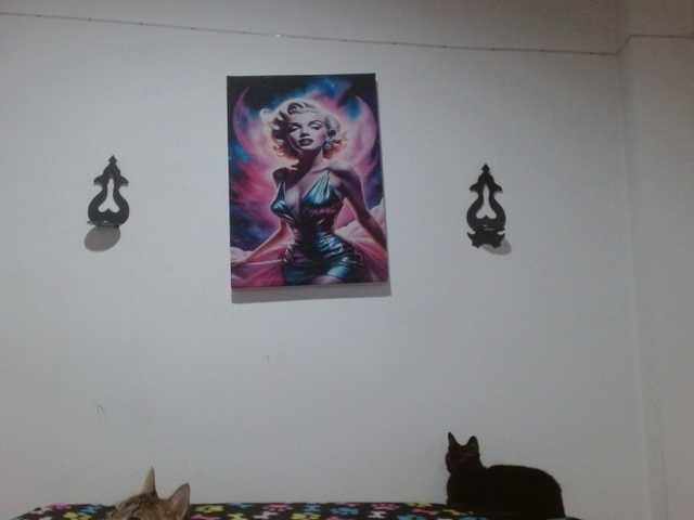 CrystalStarX