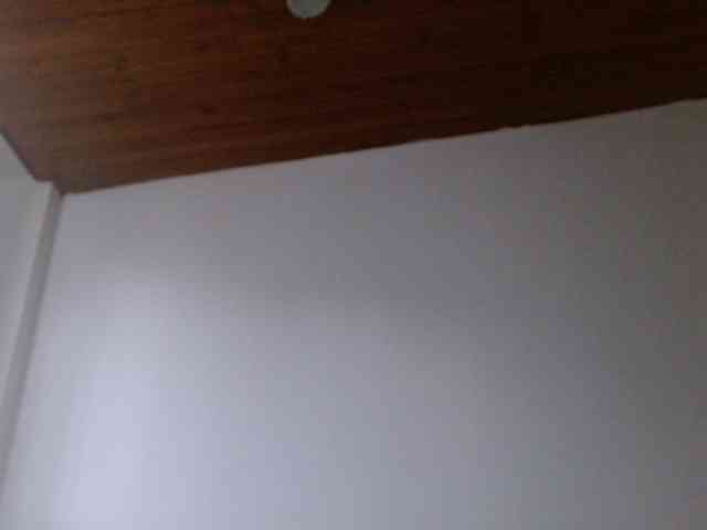 CrystalStarX webcam