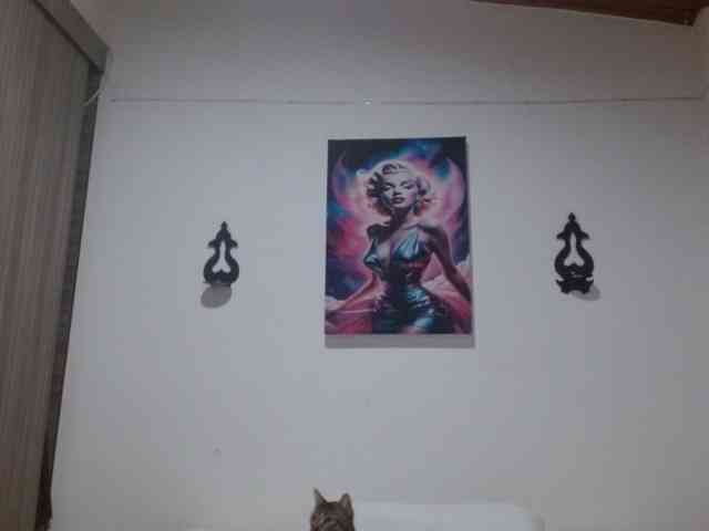 CrystalStarX CrystalStarX
