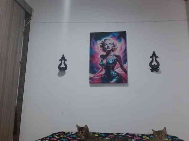 CrystalStarX webcam