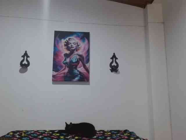 CrystalStarX webcam
