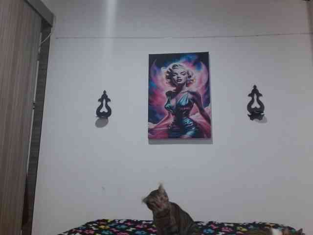 CrystalStarX webcam
