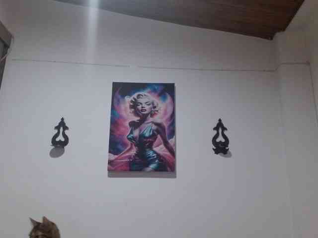 CrystalStarX CrystalStarX