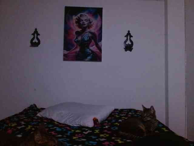 CrystalStarX webcam