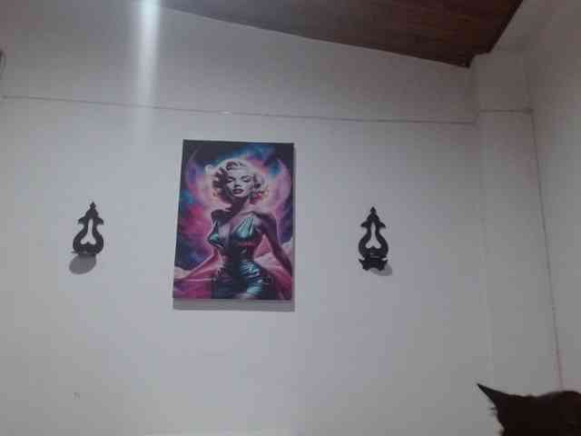 CrystalStarX webcam