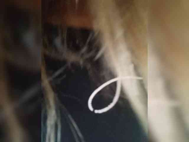 AnyaSweet webcam