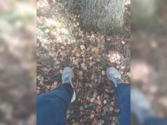 Igorek7777